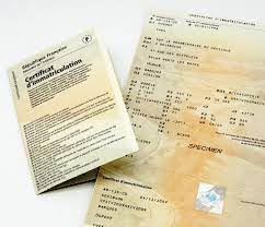 Exemple de carte grise barrée pour cession épave